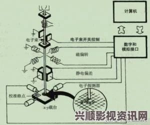 公司老板要求员工真空上班，创造无干扰高效工作环境的新模式