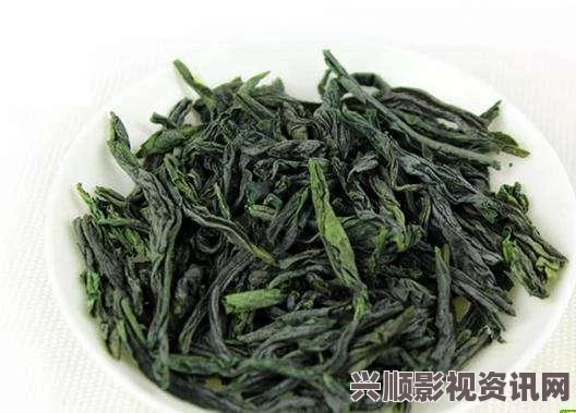 探索成都新茶嫩茶wx600：品味独特风味与健康养生的完美结合