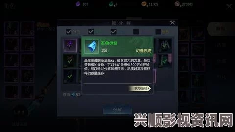 幻想兽皮小刀获取攻略，解析暗喻之秘的深入指南