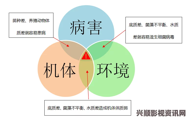 揭秘最简单的麻豆精产三产处理方法，轻松实现高效利用与增值