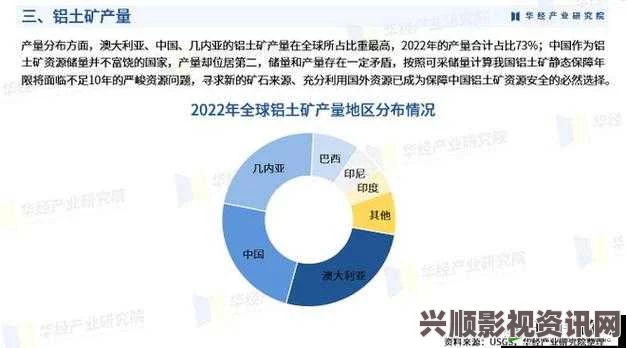 2024年国产矿转码专一技术的发展与应用前景分析