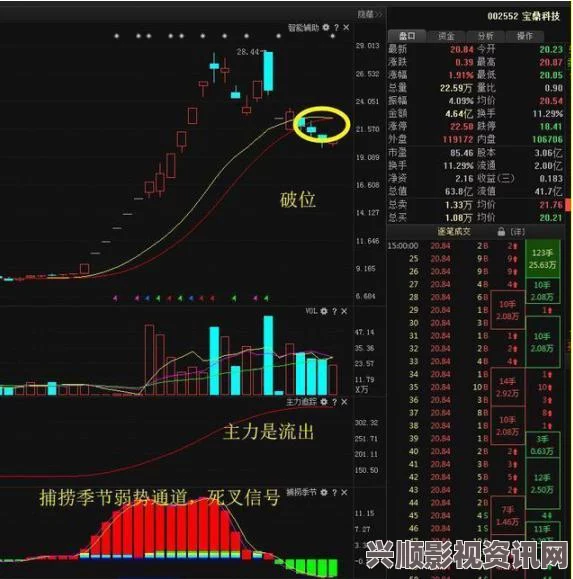 国精产品W灬源码1深度解析：揭示其背后的技术与应用前景