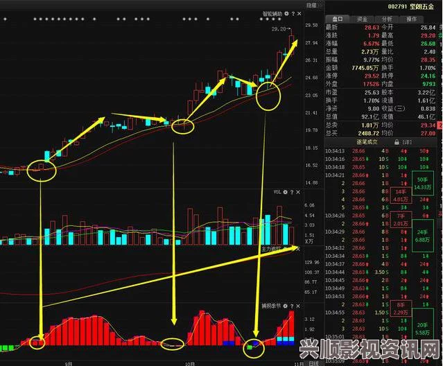 国精产品W灬源码1深度解析：揭示其背后的技术与应用前景