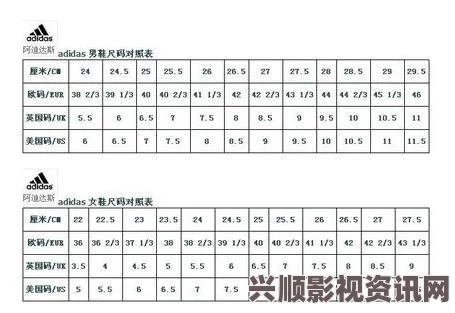 如何将三叶草鞋码从欧洲码转换为亚洲码的详细指南