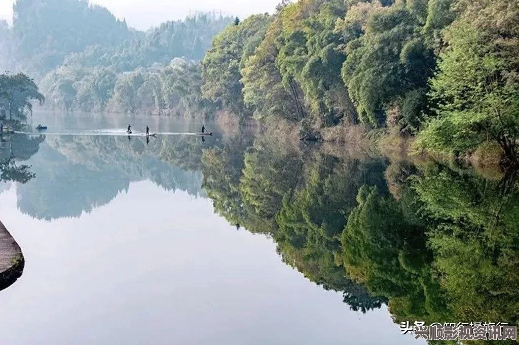 寻找黎明官网的准确位置，一站式解答你的所有疑问