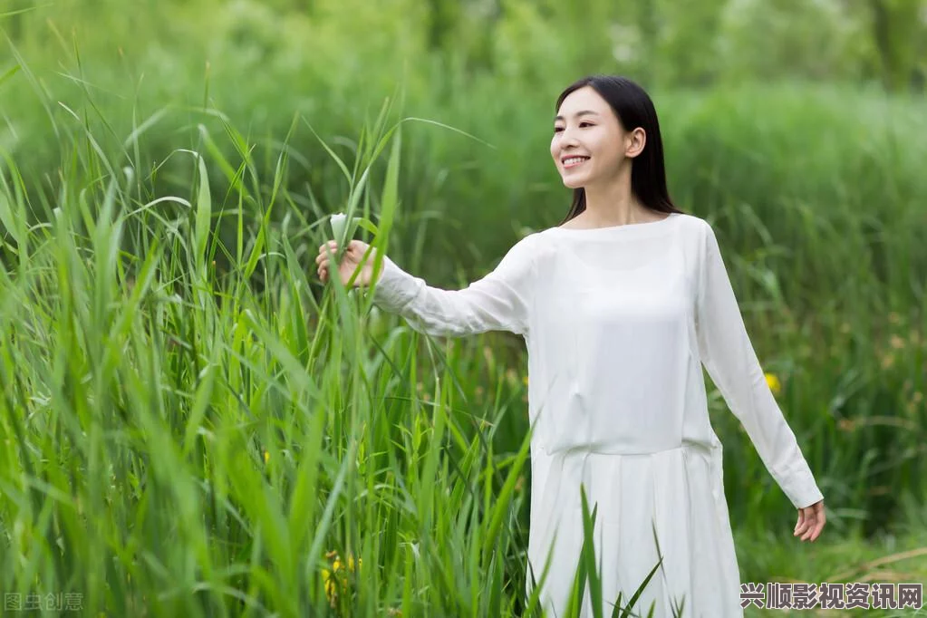 贪婪之秋2，垂死世界的价格揭秘与深度解析