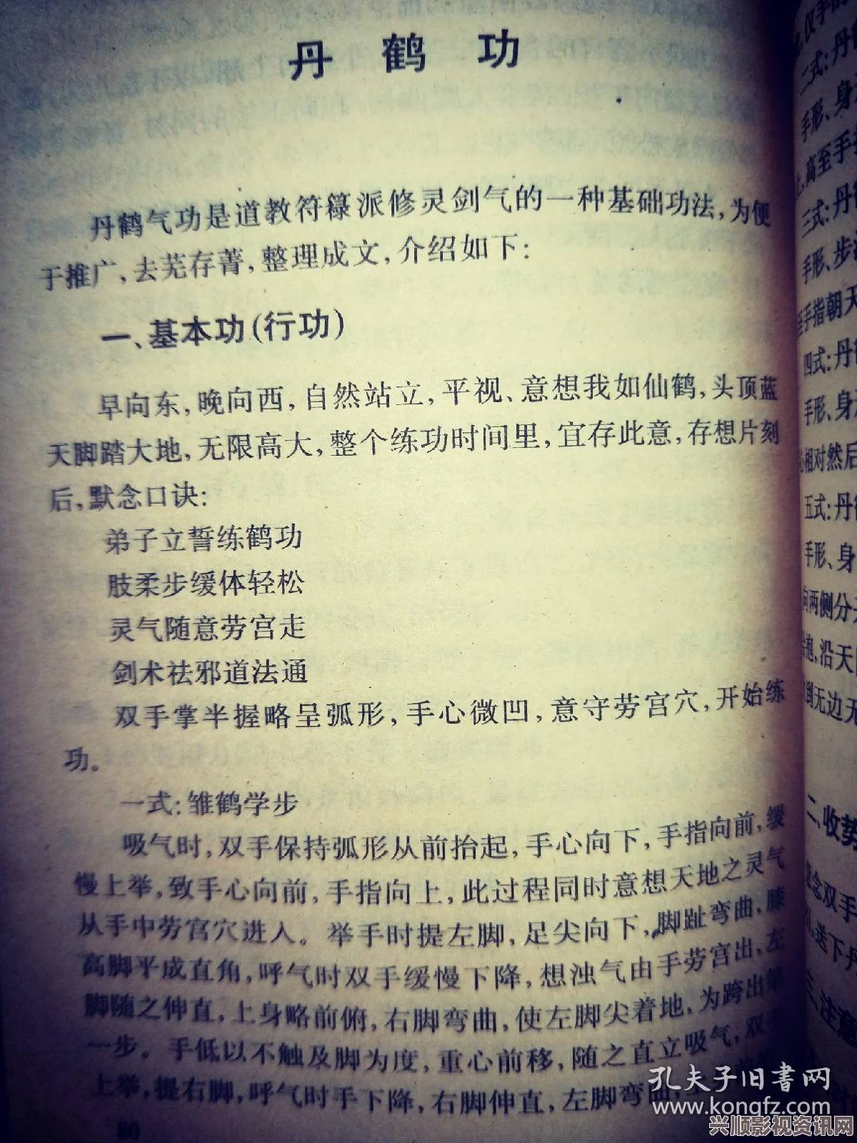 绝世好武功大还丹的特点及其奥秘