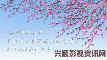 勇敢小骑士，双人冒险之旅的游戏体验