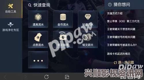 王者荣耀自助服务全解析，功能与服务详解指南