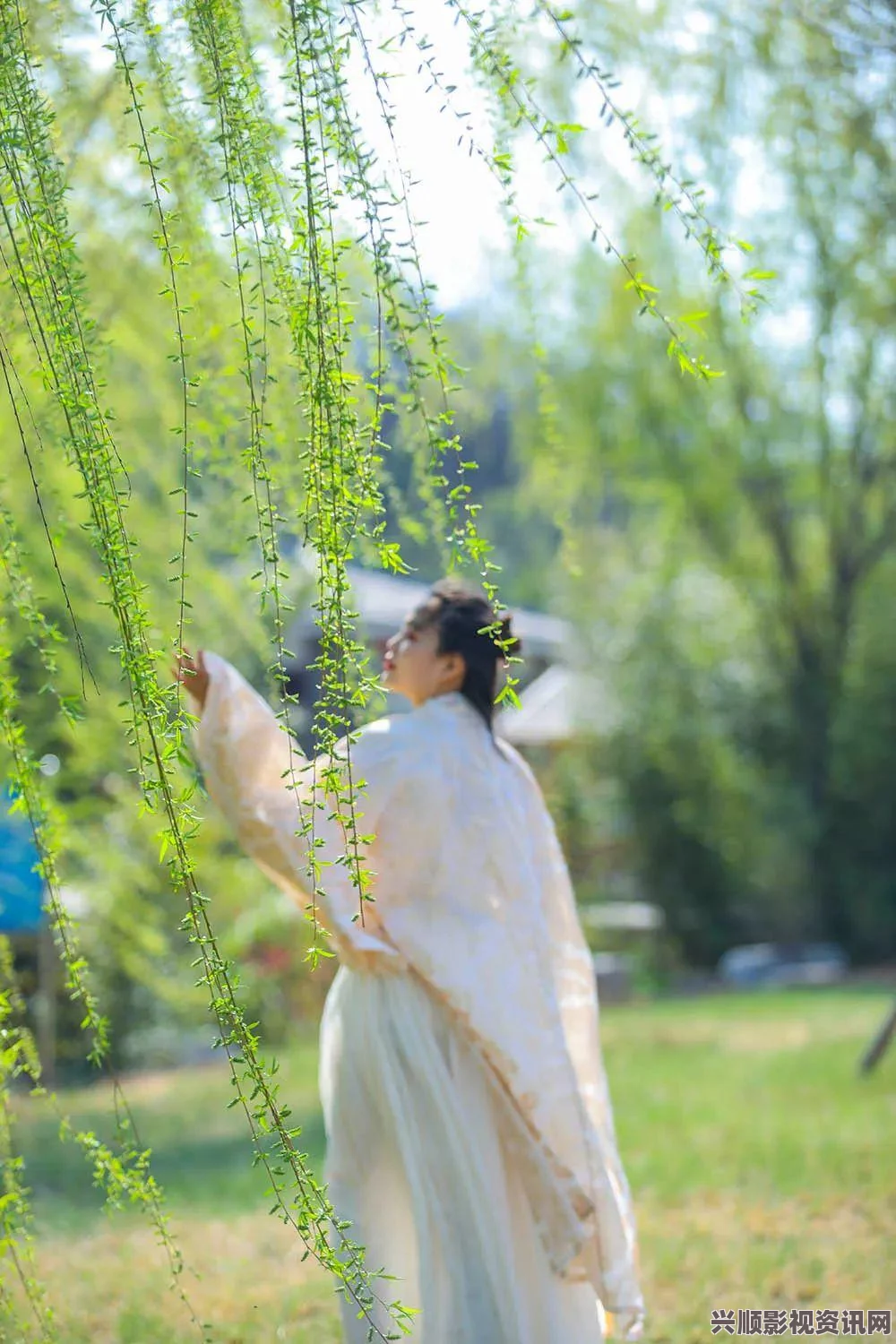 黑神话翠竹林中的土地庙位置探索与问答环节