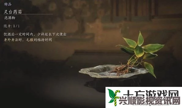 黑神话灵台药苗获取攻略与常见问题详解