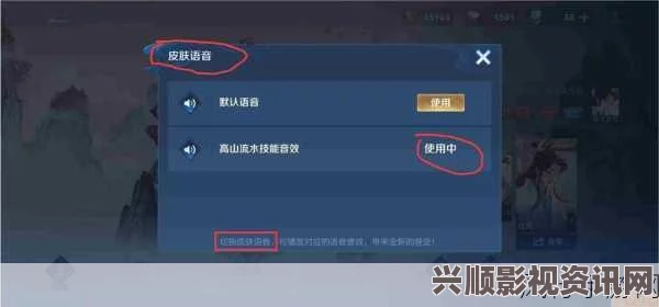 王者荣耀中的隐藏语音与挑衅语音，深度解析与发现之旅