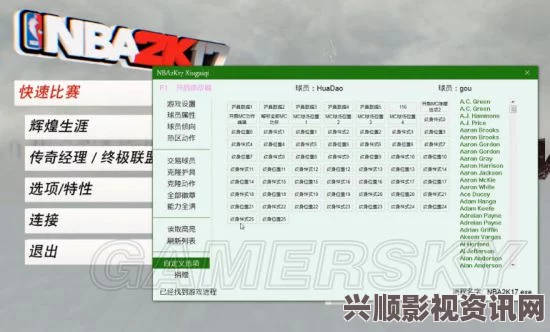 NBA2K17修改器详解，功能全面，使用指南及常见问题解答