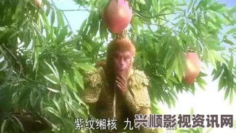 黑神话悟空紫纹缃核的神秘效果，探寻游戏内外的深层意义