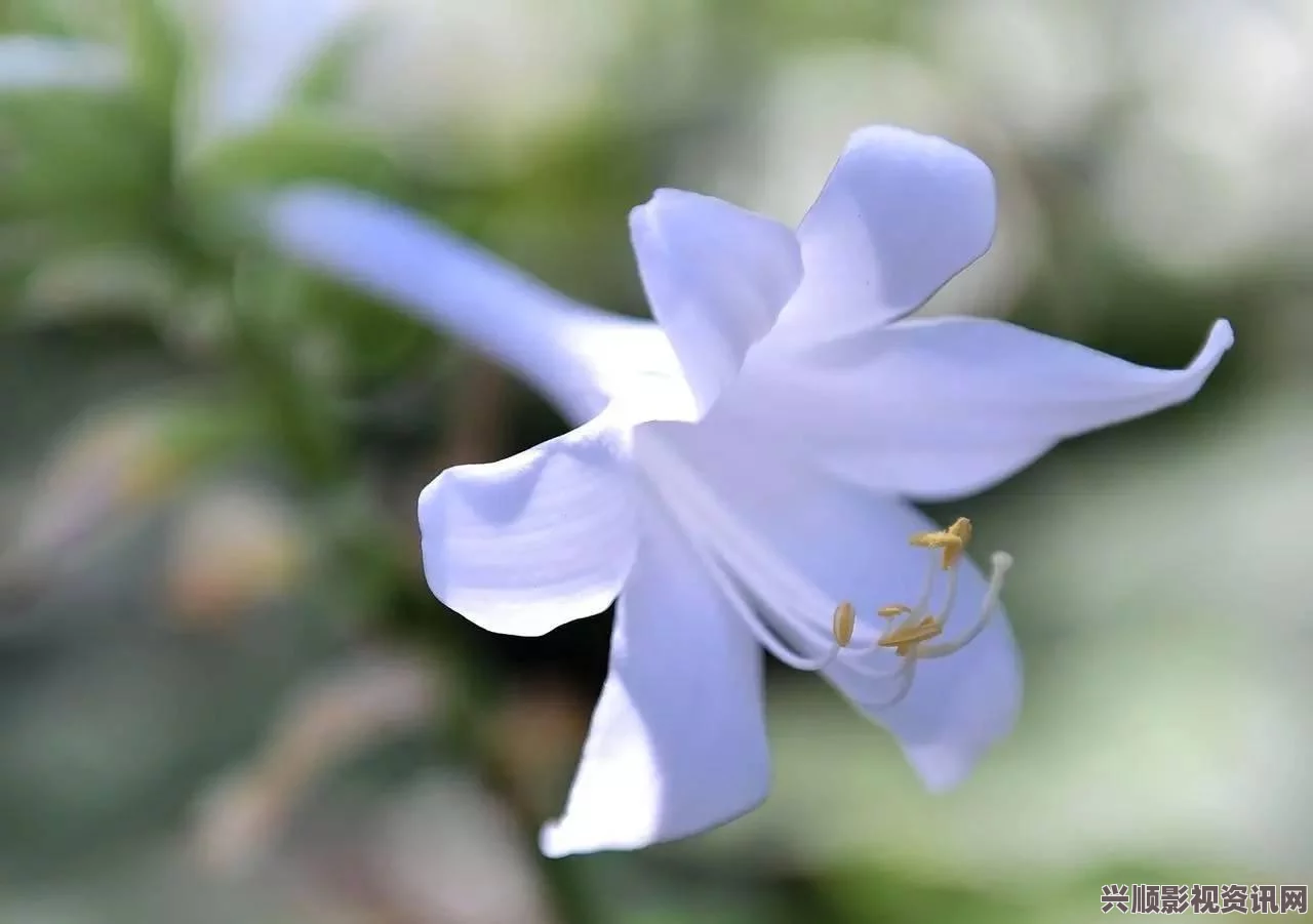 黑神话悟空琼浆获取攻略及问答环节